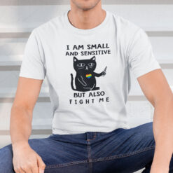 Funny LGBT Shirt Cat Knife I Am Small And Sensitive