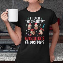 Hedgehog Christmas T Shirt I Teach The Smartest Hedgehog Christmas