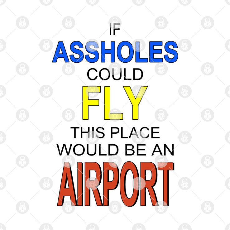 If Assholes Could Fly This Place Would Be An Airport