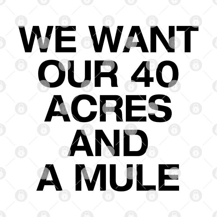 Michael Jordan We Want Our 40 Acres And A Mule Shirt png