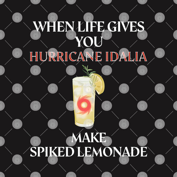 Hurricane Idalia Funny T-shirt 4